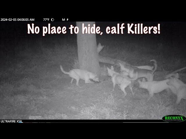 No place to hide, Killers  Eps 2