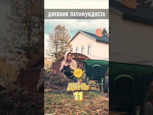 Дневник латифундиста. День 11. #дача #благоустройствоучастка #жизньзагородом #кашпо #патио