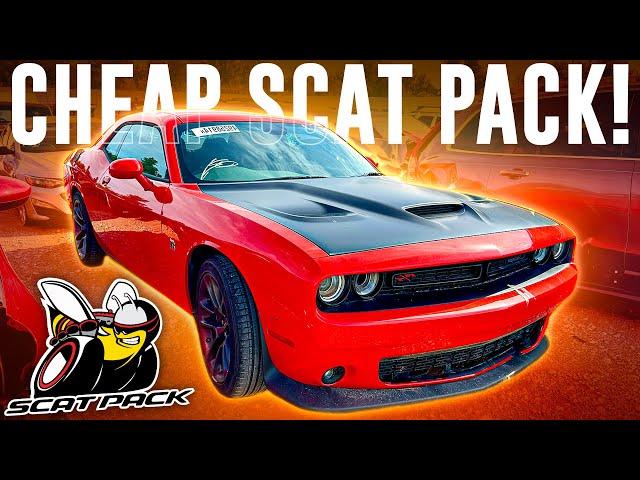 This BRAND NEW Scat Pack is at Copart CHEAP!