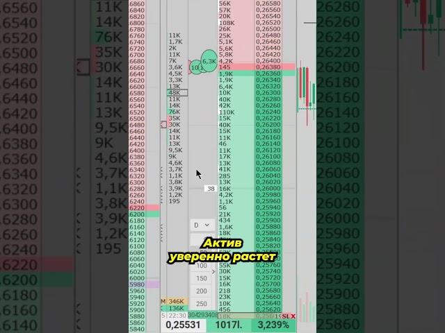 Прибыльная торговая стратегия | Крупная заявка в стакане