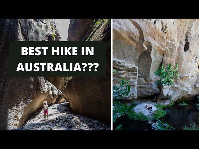 Carnarvon Gorge Queensland: We hiked the whole way!!