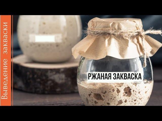 КАК ВЫВЕСТИ РЖАНУЮ ЗАКВАСКУ ДЛЯ ВЫПЕЧКИ ХЛЕБА В ДОМАШНИХ УСЛОВИЯХ