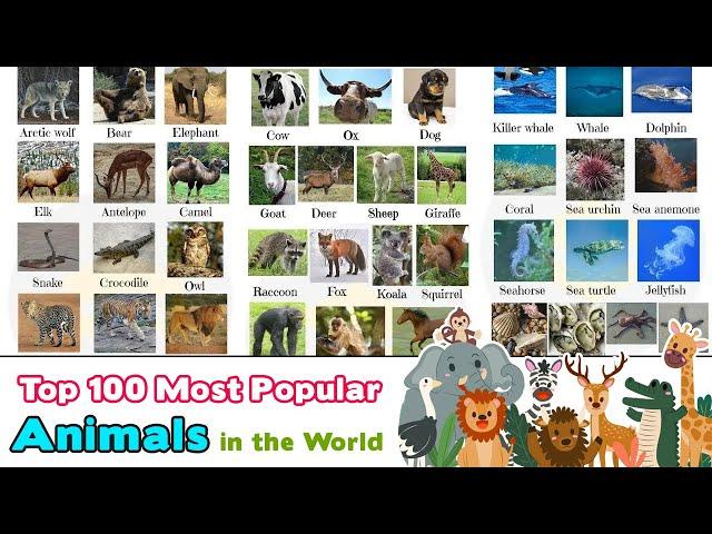 Top 100 Most Popular Animals in the World