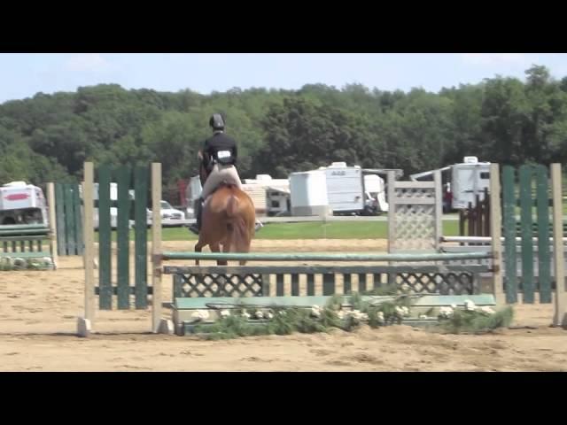 Serendipity 15-17 Junior Hunter Stake