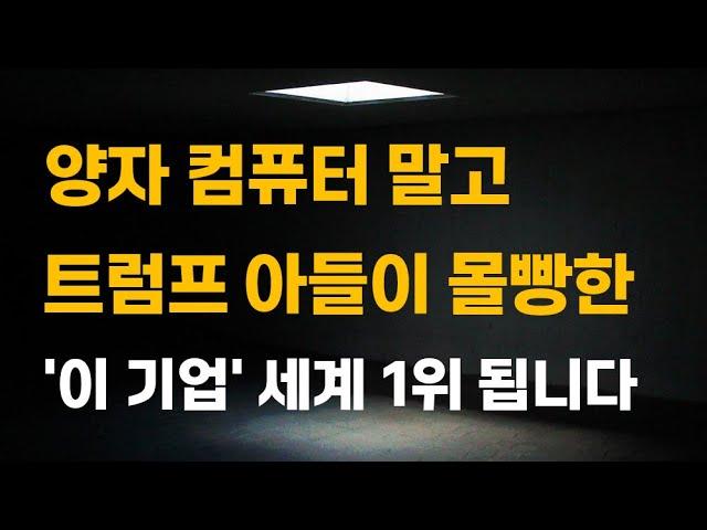 [주식] 양자 컴퓨터 말고 트럼프 아들이 몰빵한 '이 기업' 세계 1위 됩니다.[양자컴퓨터관련주, 양자컴퓨터대장주, 아이온큐목표가, IONQ전망, 2025년주식]