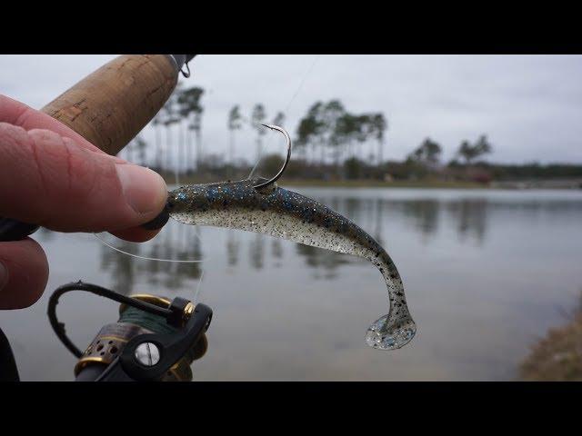 Northern Angler vs BIG Southern Fish - 1700 Mile Southeast Fishing Detour Part 2