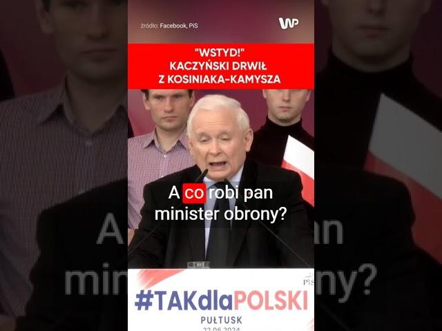 "Wstyd!". Kaczyński drwił z Kosiniaka-Kamysza: Dobry człowiek