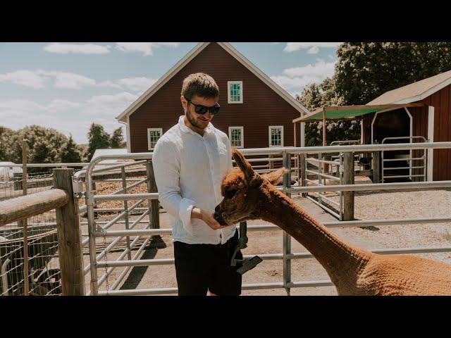 Bluebird Farm ALPACAS