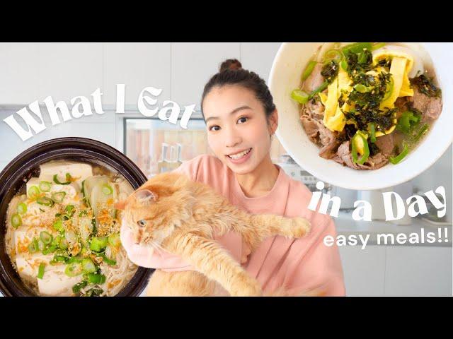 What I eat in a day to lose weight (healthy & easy meals)