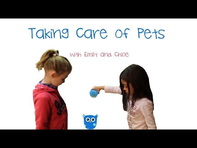 How Two: Take Care of Pets