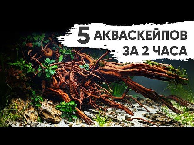 5 крутых акваскейпов за 2 часа