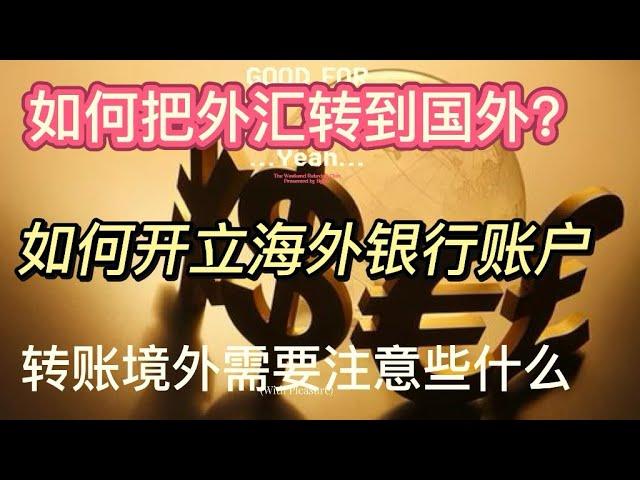 人民币如何转到国外？普通人外汇出境的正确方法，避坑指南！移民留学必看：个人外汇怎么转到海外？教你如何在海外开立银行账户！换汇｜购汇｜合法合规转账境外