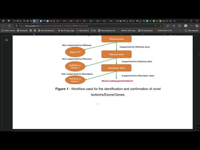 Novel coding and non-coding genes/exons/Isoforms in the human brain using integrative analysis.