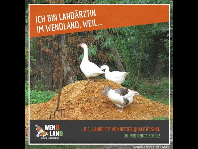 Landarzt im Wendland | LASS DICH NIEDER