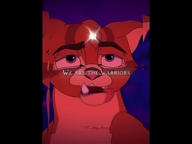 We were born for this! #warriorcats #edits #viral