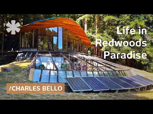 Guide to the Good Life from architect-farmer amid redwoods: 55 years off-grid