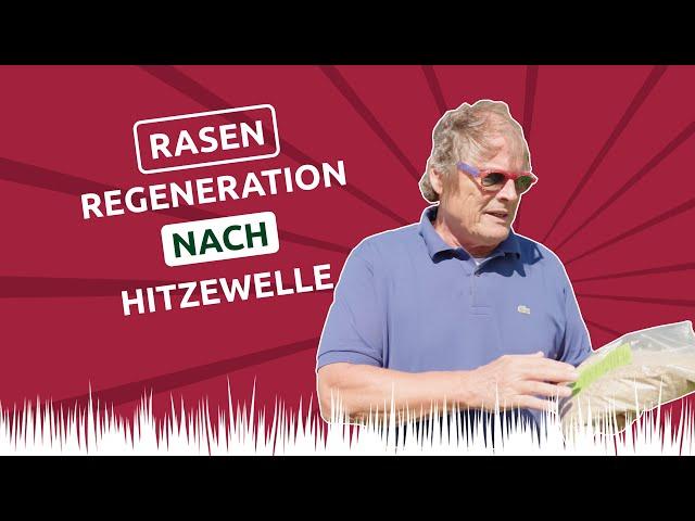 Rasen ERNEUERN & REGENERIEREN nach Hitze & Trockenheit 