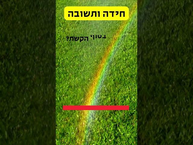 חושבים שאתם מספיק חכמים כדי לפתור את החידה הזו? תחשבו שוב!