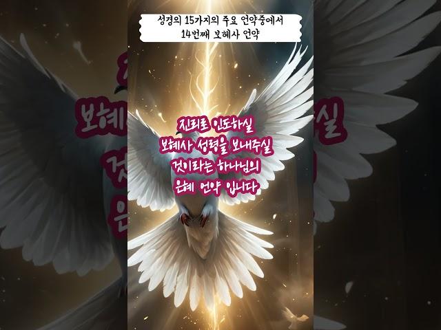 [ 성경 개관 6 - 14 ] 성경의 15가지 주요 언약 중에서, 14번째, 보혜사 언약