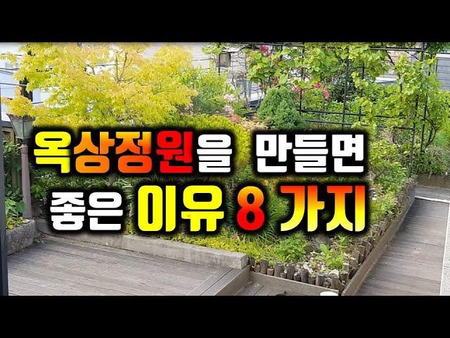 상가주택,단독주택 옥상정원의 좋은 8가지 이유/옥상정원을 만들면 좋은 점 8가지