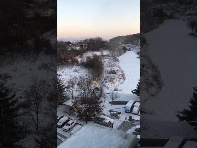 Good morning. Winter in Korea White Christmas #Winter #Snow #WhiteChristmas