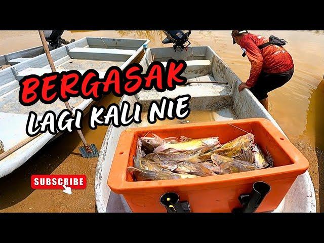 BERGASAK LAGI BUBU BAUNG [ catch&sell ] #vlog146 #unlimitedhobby #unlimitedfishing #amazinghobby