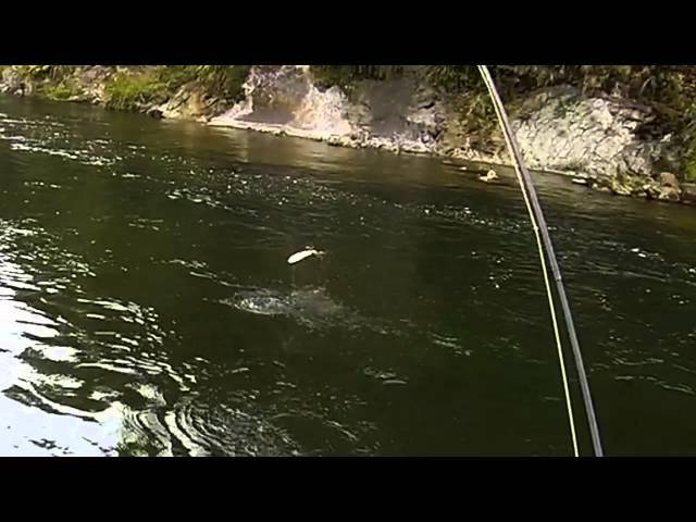 NZ flyfishing - First trout using a mouse pattern