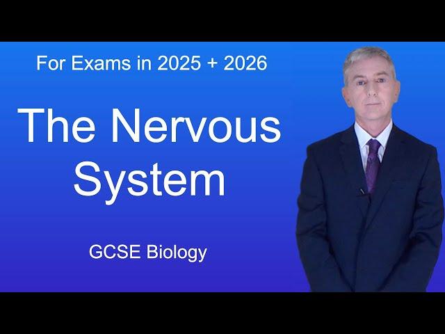 GCSE Biology Revision "The Nervous System"