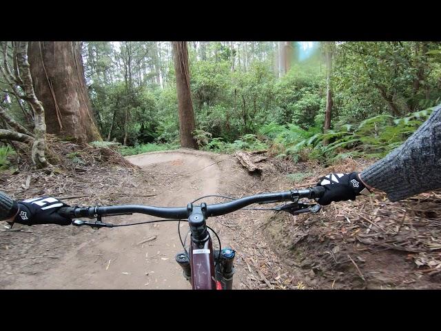 Handi Scandi- Maydena Bike Park (4K)