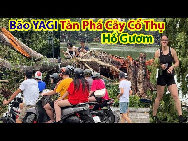 Rớt Nước Mắt Vòng Quanh Hồ Gươm Sau Bão Yagi