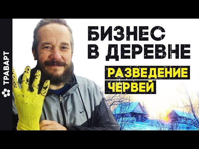 Бизнес в деревне Разведение червей 6 месяцев спустя Жизнь в деревне ТРАВАРТ  Андрей Протопопов 2714