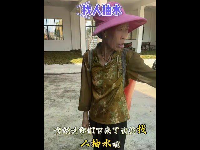 姐妹們，蜂糖李成熟啦！我婆說我不會賣李子，姐妹們蘭姐賣蜂糖李的時候務必支持一下好嗎？看看好不好吃，謝謝#六馬蜂糖李