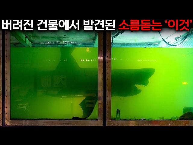 제가 무려 20년간 폐건물 탐사를 하면서 이런 건 처음 봤습니다