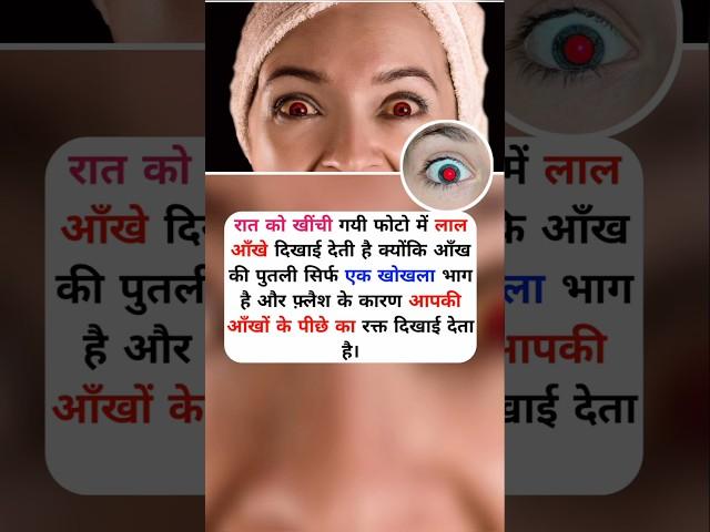 Human Eye Cornea Facts #facts #factshorts #factsinhindi