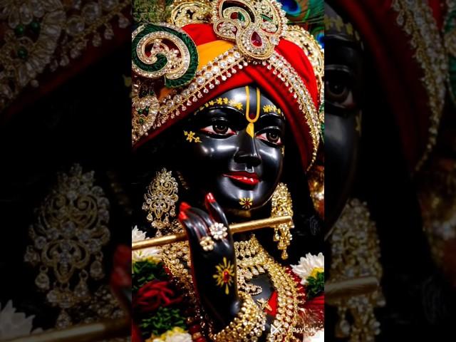 Meri jindagi ko sambhalo Kanhaiya#krishna #bhakti #song #radhakrishna #vrindavan