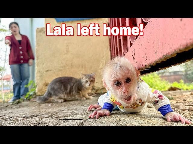 Lala hide mom runs away from home to go out!