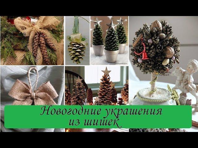 Новогодние поделки украшения из шишек -Творческие Идеи / Christmas decorations