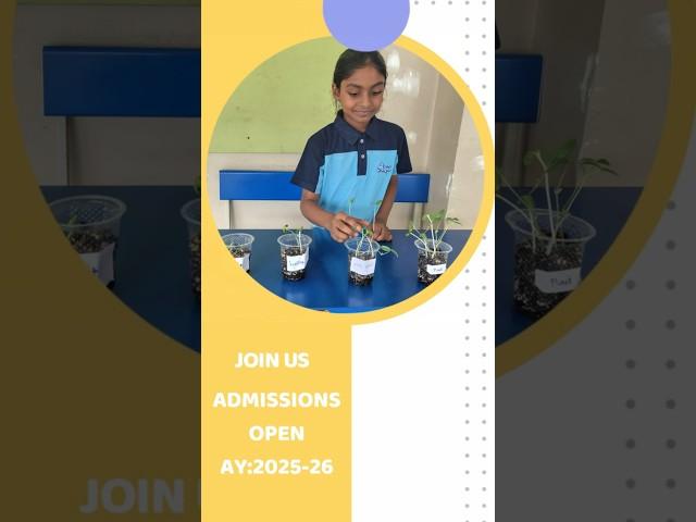 VVPS | Admissions Open | Academic Year 2025-26