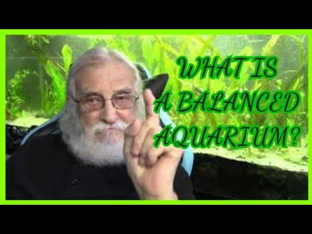 WHAT IS A BALANCED AQUARIUM?