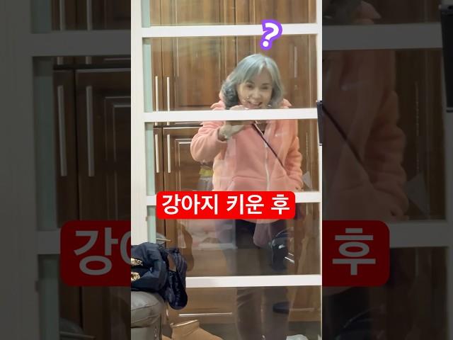 집 들어오실 때 강아지 키우기 전과 후 비교해봤더니… #정선호 #shorts #dog