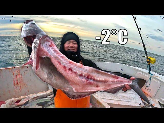 Catching GIANT Bottom Feeders in Freezing Water (feat. On the Water Magazine) - Catch & Cook