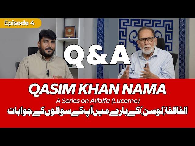 Alfa Alfa (Lucerne) Q & A | Qasim Khan Nama | Hafiz Wasi TV