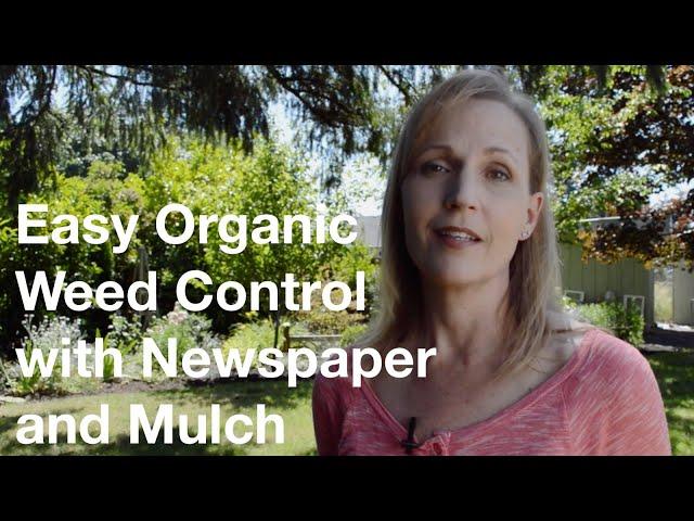 Easy Organic Weed Control With Newspaper & Mulch - AnOregonCottage.com