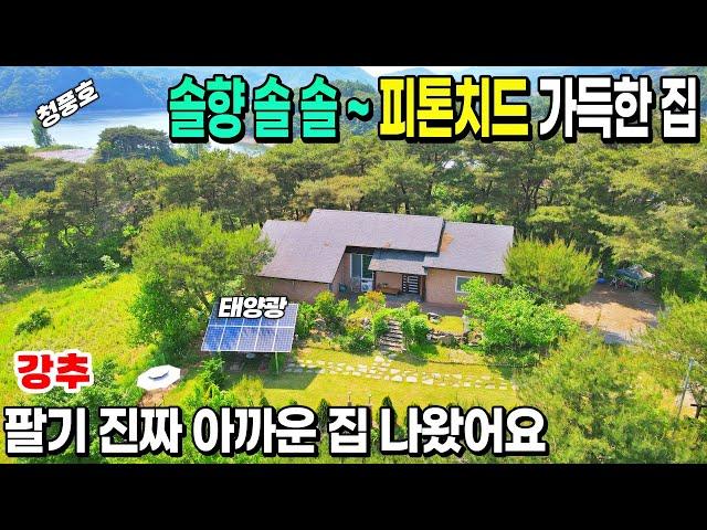 [NO. 497] 솔향가득 피톤치드 뿜뿜! 매매하기 너무아까운 나홀로별장처럼 편히쉴 수 있는 곳 3억대전원주택으로 모실게요