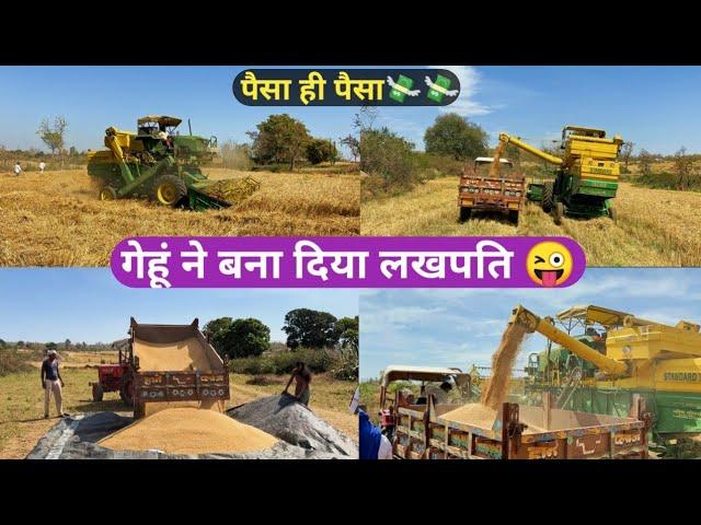 गेहूं की कटाई हुई || Wheat Hervasted || MoHit Dhurv Vlogs