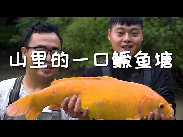 【戶外捕魚vlog】包下山裏的一口鱖魚塘，塘主很實在，要半價賣給我們