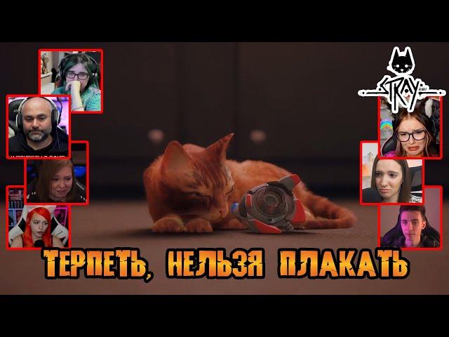 Реакция Летсплейщиков на Очень Грустную Сцену в Финале Stray