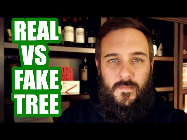 Real vs Fake Christmas Tree, Thoughts On Snapchat Spectacles, and PewDiePie Birdabo Ending