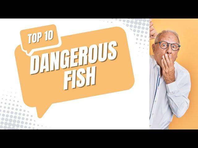 Top 10 Most Dangerous Fish in the world: Deadly Ocean Creatures