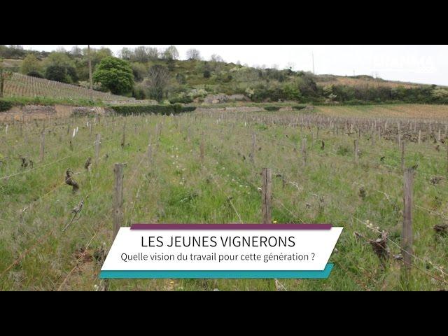 Vignerons : portrait de la nouvelle génération - Teranima TV